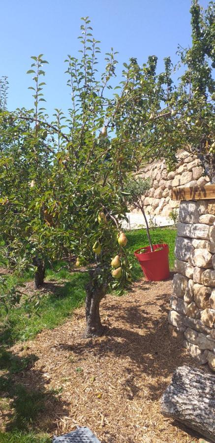 Gites De L'Alouette Boffres Bagian luar foto